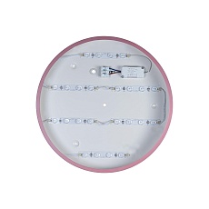 Потолочный светодиодный светильник Loft IT Axel 10002/24 pink 3