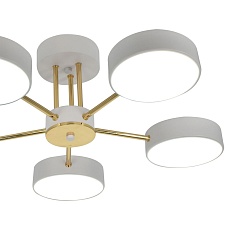 Потолочная светодиодная люстра Escada Rune 10262/5LED 2