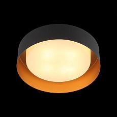 Потолочный светильник ST Luce Chio SL392.422.04 1