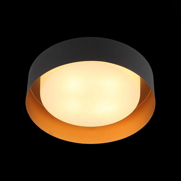 Потолочный светильник ST Luce Chio SL392.422.04 фото 2