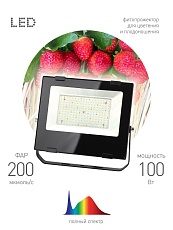 Прожектор светодиодный для растений ЭРА 100W 4000K Fito-100W-Ra90-Led Б0047876 3