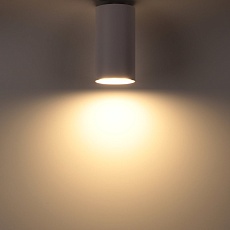 Накладной потолочный светильник Ritter Arton 59950 0 1