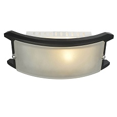 Потолочный светильник Arte Lamp A6462AP-1CK 2