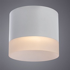Потолочный светильник Arte Lamp Castor A5554PL-1WH 2