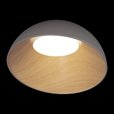 Потолочный светодиодный светильник Loft IT Egg 10197/500 Grey 3