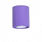 Фиолетовые потолочные светильники