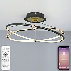 Потолочный светодиодный светильник Natali Kovaltseva Smart Нимбы High-Tech Led Lamps 82050 4