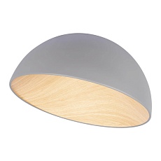 Потолочный светодиодный светильник Loft IT Egg 10197/500 Grey 1