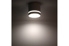 Накладной потолочный светильник Ritter Arton 59942 5 1