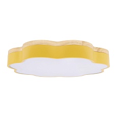 Потолочный светодиодный светильник Loft IT Axel 10225/36 Yellow 1