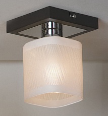 Потолочный светильник Lussole Costanzo GRLSL-9007-01 2