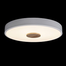Потолочный светодиодный светильник Loft IT Axel 10003/24 white 2