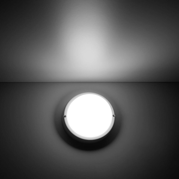 Потолочный светодиодный светильник Gauss Сауна 126411212 фото 7
