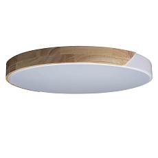 Потолочный светодиодный светильник Loft IT Axel 10004/36 white 2