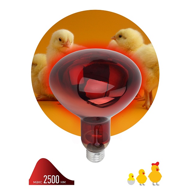 Лампа инфракрасная ЭРА E27 150 Вт для обогрева животных и освещения ИКЗК 230-150 R127 Б0055441 фото 