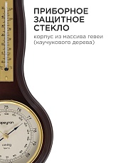 Настенный барометр Apeyron WD2207-983-9 5