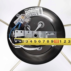 Потолочная люстра Citilux Лайма CL155153 1