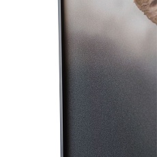 Картина Lumina Deco FP Elephant 50-70 4