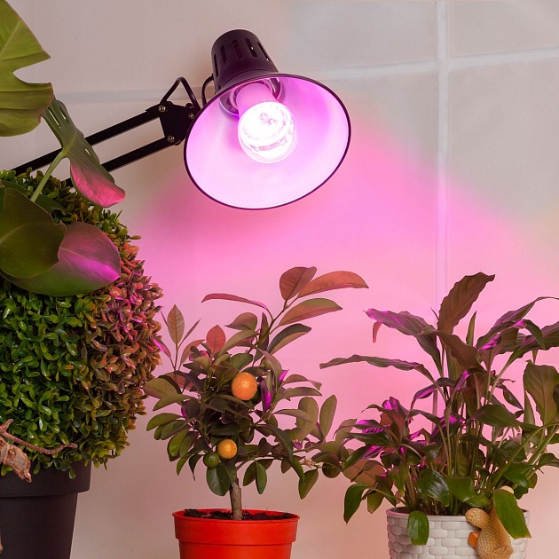 Лампа светодиодная для растений ЭРА E27 14W 1310K прозрачная Fito-14W-RB-E27 Б0050602 фото 6