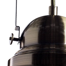 Подвесной светильник Arte Lamp Martin A5213SP-1AB 1