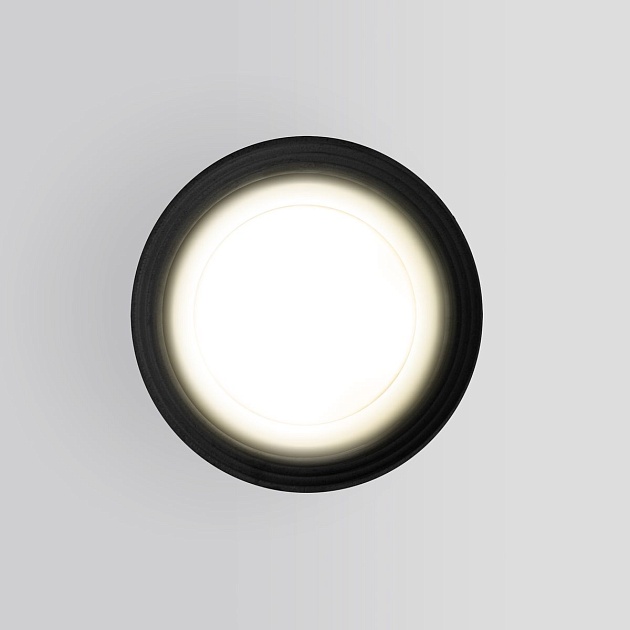 Уличный светильник Elektrostandard Light 35128/H черный a056268 фото 3
