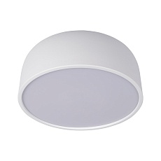 Потолочный светодиодный светильник Loft IT Axel 10201/350 White 1