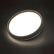 Настенно-потолочный светодиодный светильник Sonex Woodi 7627/CL 4