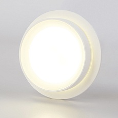 Потолочный светильник Ambrella light TN5383 1