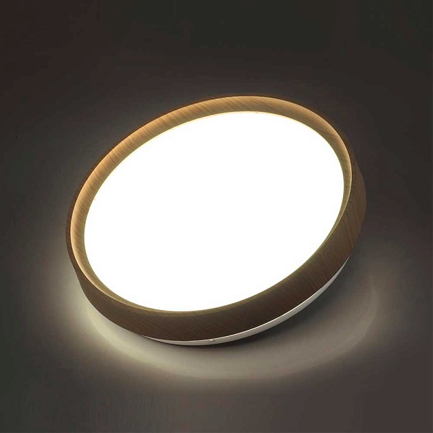 Настенно-потолочный светодиодный светильник Sonex Woodi 7603/DL фото 5