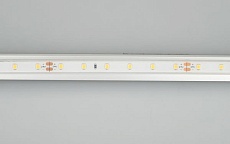 Светодиодная влагозащищенная лента Arlight 4,8W/m 60LED/m 2835SMD холодный белый 5M 034157 1