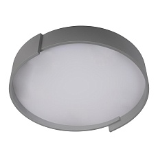 Потолочный светодиодный светильник Loft IT Coin 10200 Grey 2