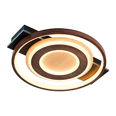 Потолочный светодиодный светильник F-Promo Labrea 4699-1C