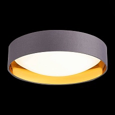 Потолочный светодиодный светильник Evoluce Orbio SLE201112-01 2