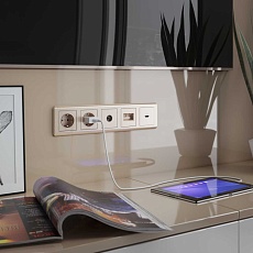 Розетка с заземлением Werkel шампань рифленый W1171010 4690389160325 4