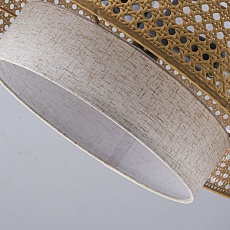 Подвесная люстра Favourite Organicum 4768-3P 2