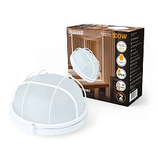 Настенно-потолочный светильник Gauss 926602111 1