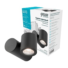 Уличный настенный светильник Gauss Sonata GD151 1