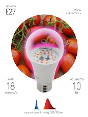 Лампа светодиодная для растений ЭРА E27 10W 1310K прозрачная Fito-10W-RB-E27 Б0050600 1