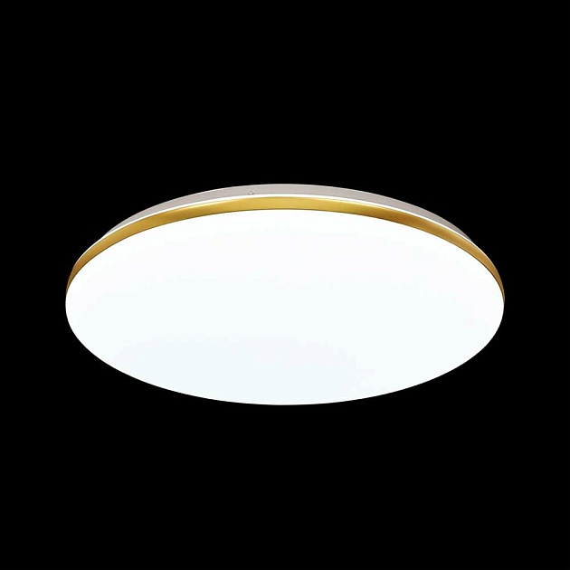 Настенно-потолочный светодиодный светильник Sonex Tan Lassa 3043/DL фото 3