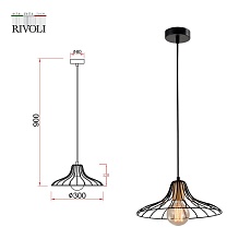 Подвесной светильник Rivoli Moonlight 5150-201 Б0054974 2
