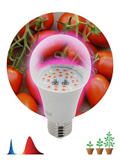 Лампа светодиодная для растений ЭРА E27 10W 1310K прозрачная Fito-10W-RB-E27 Б0050600 2