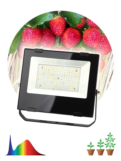 Прожектор светодиодный для растений ЭРА 100W 4000K Fito-100W-Ra90-Led Б0047876 фото 2