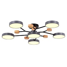 Потолочная светодиодная люстра Evoluce FAEMA SLE6006-702-06 3