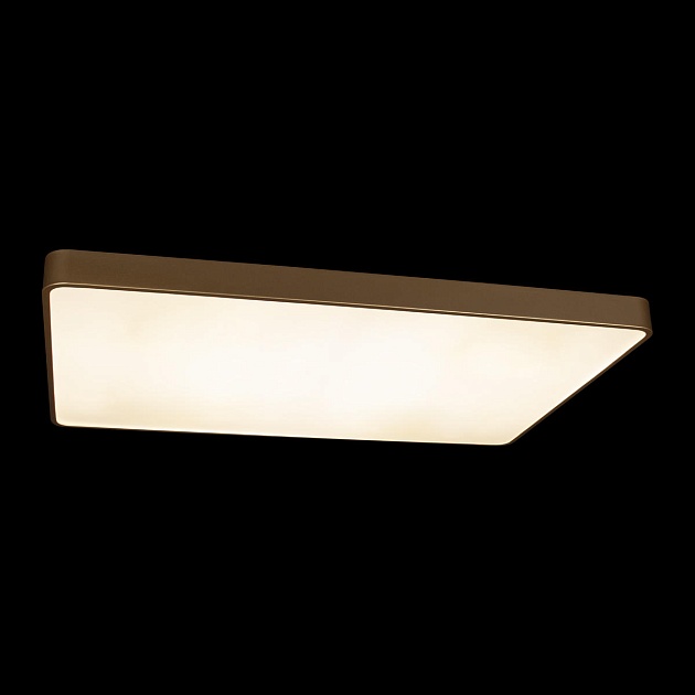 Потолочный светодиодный светильник Loft IT Flims 10228/E фото 5