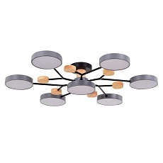 Потолочная светодиодная люстра Evoluce FAEMA SLE6006-702-07 2