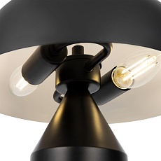 Настольная лампа Freya Eleon FR5218TL-02B1 4