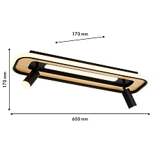 Потолочная светодиодная люстра F-Promo Olika 4439-2C 1