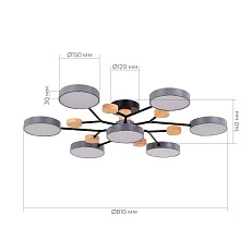 Потолочная светодиодная люстра Evoluce FAEMA SLE6006-702-07 3