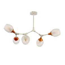 Потолочная люстра Evoluce Ciotolla SLE113502-05 1