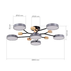 Потолочная светодиодная люстра Evoluce FAEMA SLE6006-702-06 1